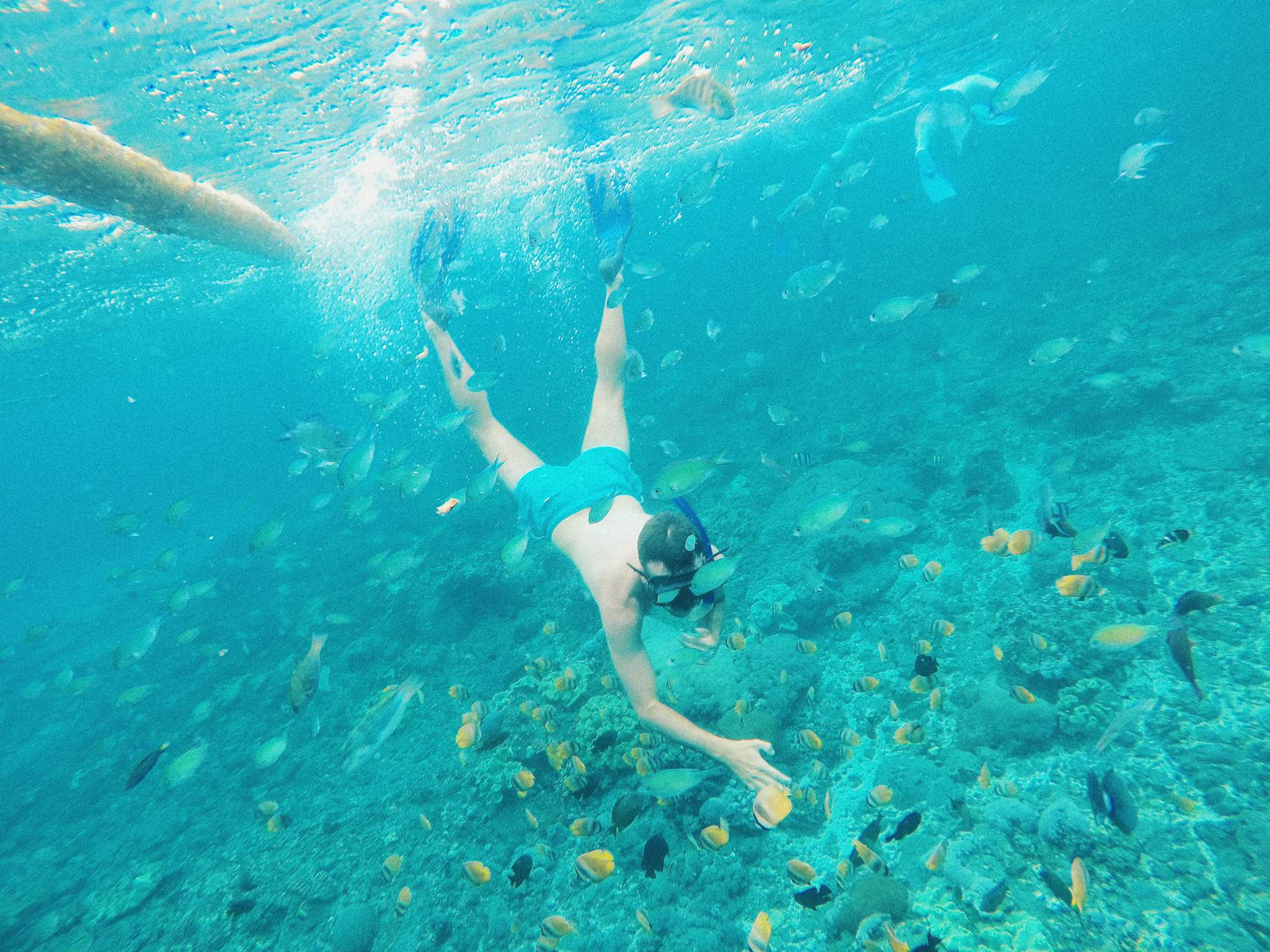 Snorkeling Crystal Bay - Nusa Penida - The Chris's Adventures